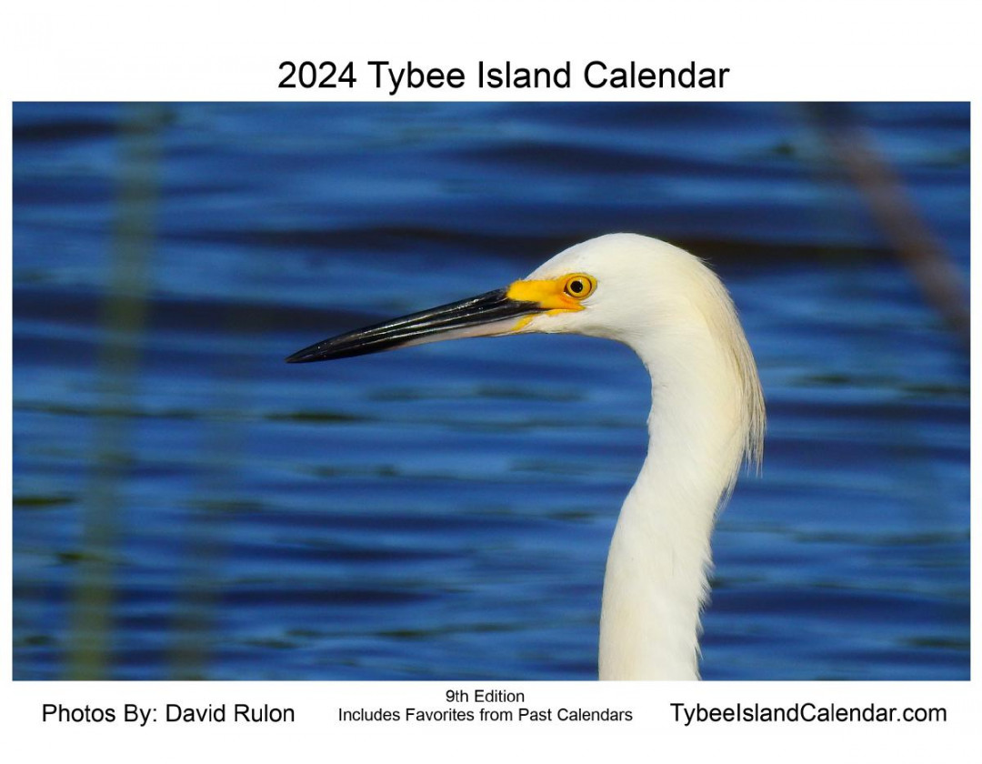 Tybee island Calendar Create Photo Calendars