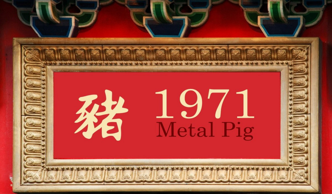 Chinese Zodiac: Metal Pig Year Personality Traits