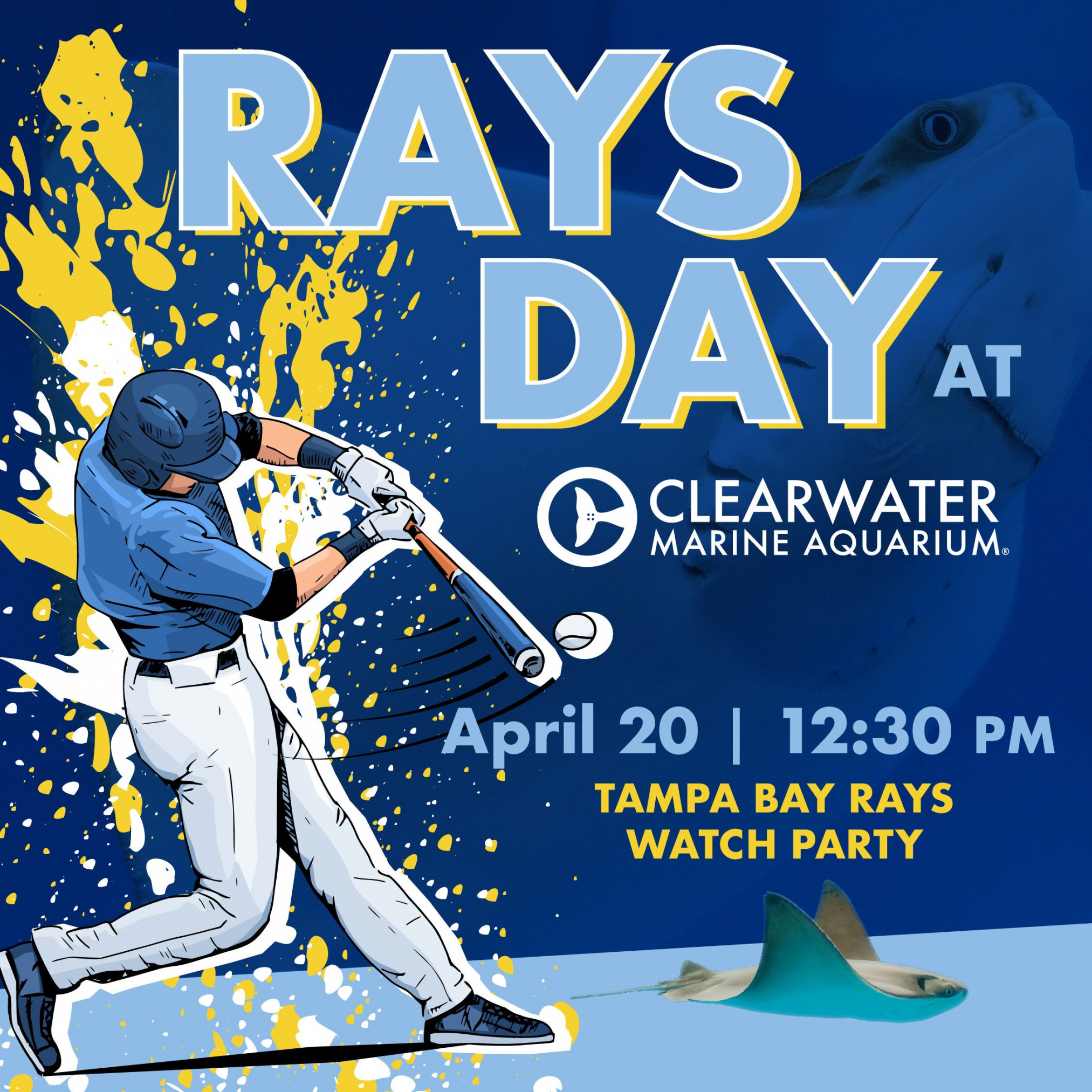 Clearwater Events Calendar for April , Clearwater, FL Patch