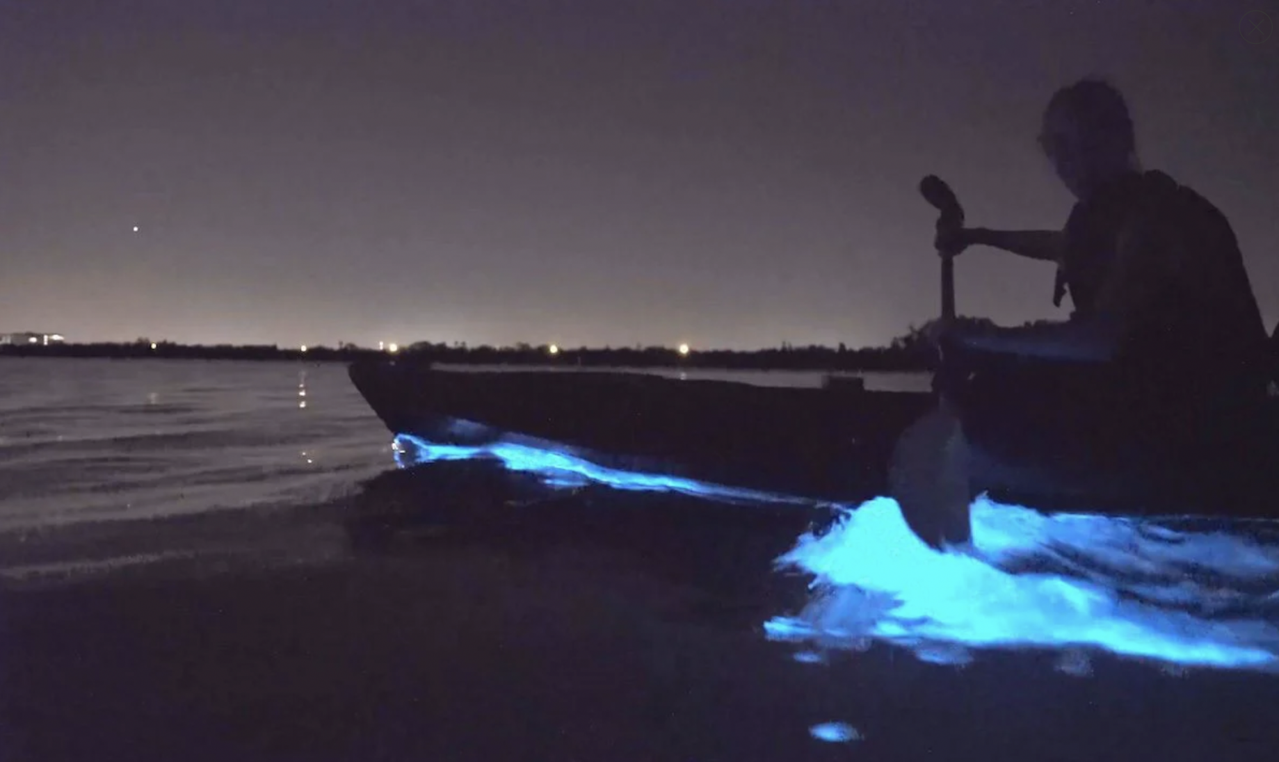 Bioluminescence Kayak Tour ‑ Port Gamble, Washington Kitsap