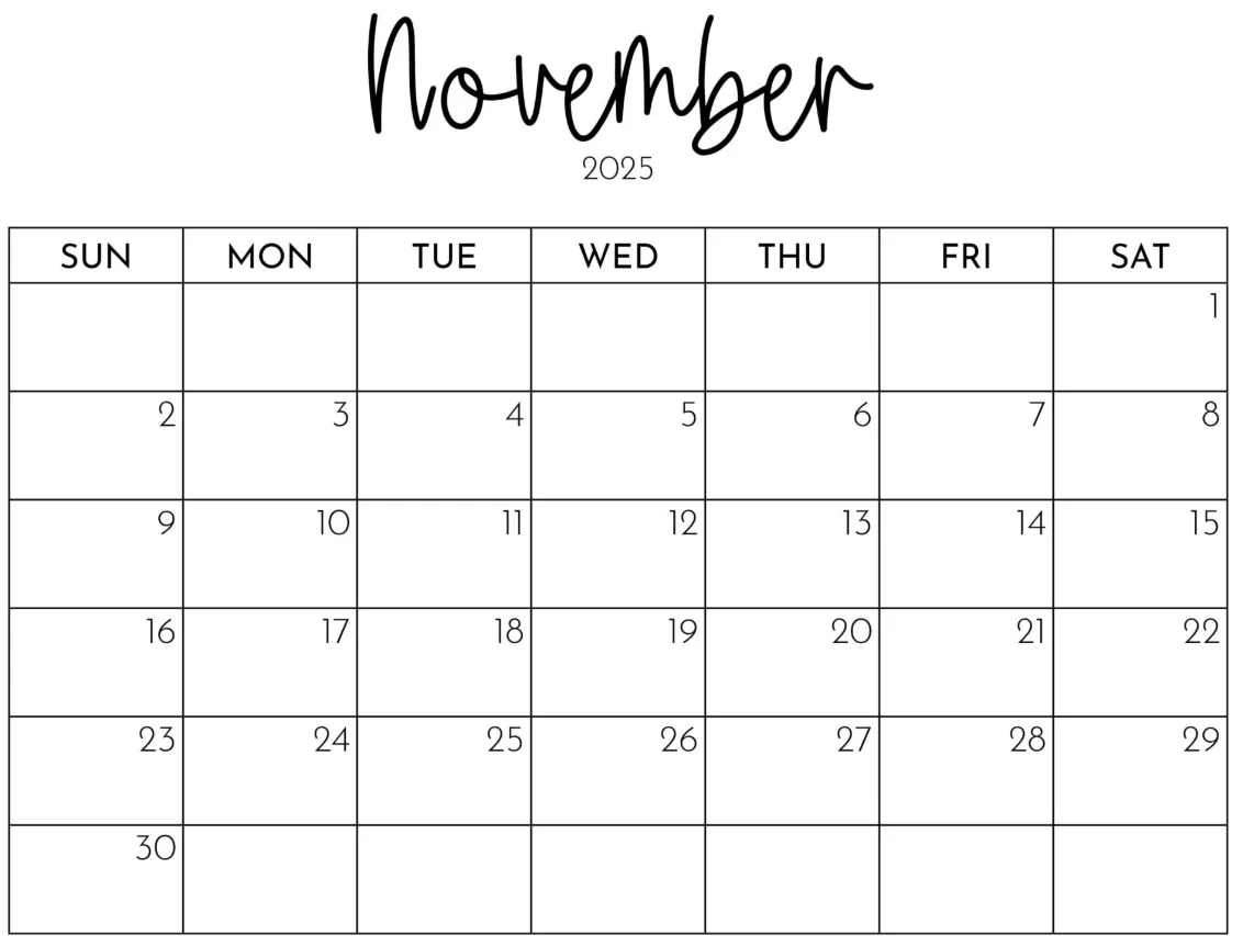 Aesthetic November 2025 calendar PNG with autumn accents