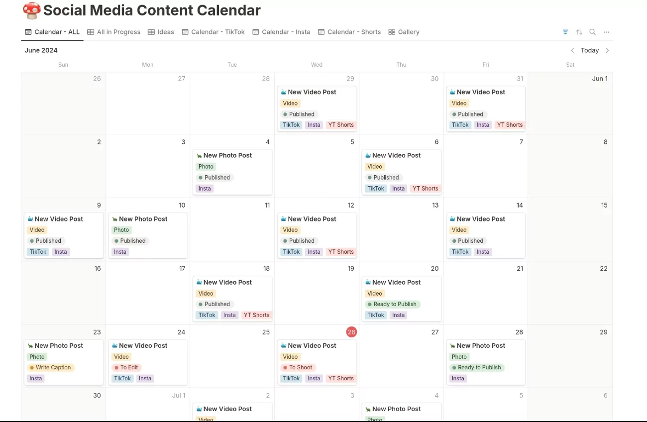 social media schedule calendar design preview